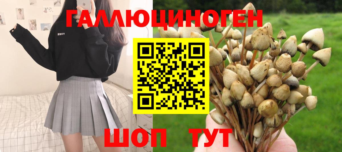 Псилоцибиновые грибы ЛСД  Галлюциногенные грибы ЛСД  магазин продажи   Вход с VPN  Калининград 