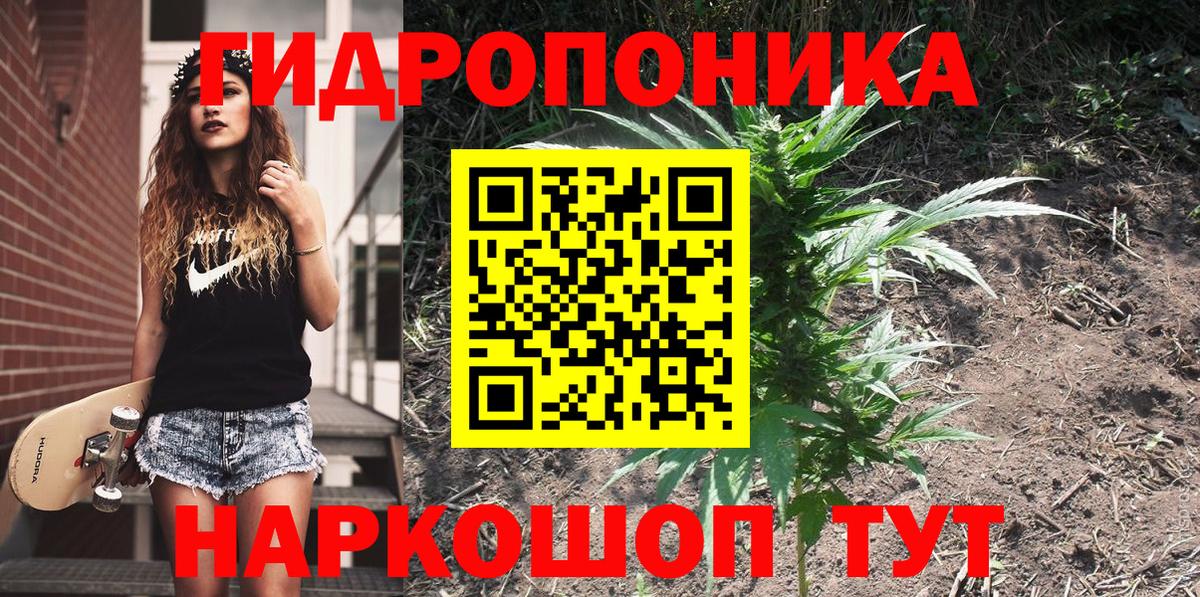Каннабис планчик Калининград